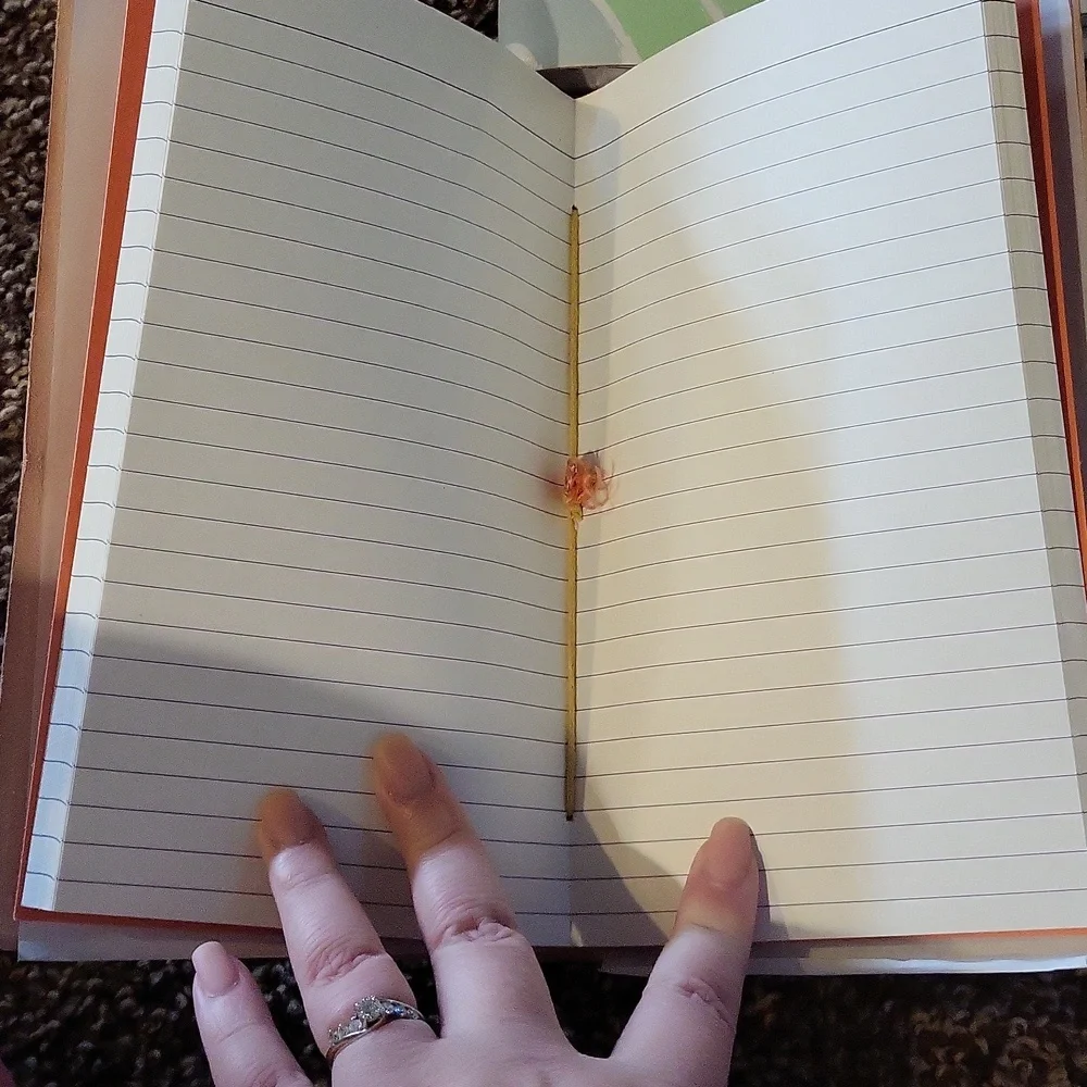 Love Vivid Chasing Rainbows Notebook Set